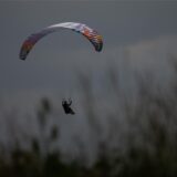 Gleitschirmflieger am Himmel hinter Grasbüscheln