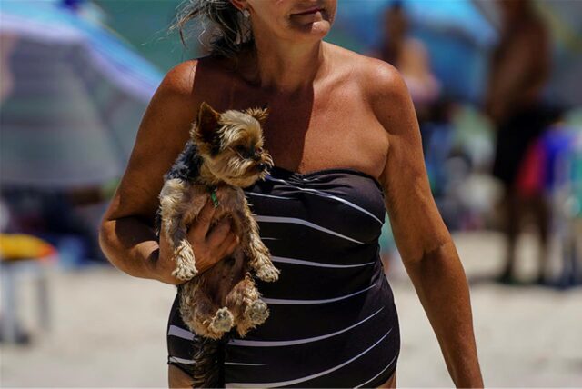 Eine Frau hält einen Hund auf dem Arm
