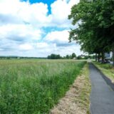 Die Bildkombi zeigt Frank Staffel und ein Feld neben der Dortmunder Straße.