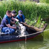 THW-Mitarbeiter lassen Pflanzinseln zu Wasser