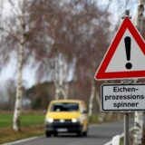 Die Gefahr durch die Raupen des Eichenprozssionsspinners war in diesem Jahr eher gering. Warnschilder wie hier mussten daher nicht aufgestellt werden.