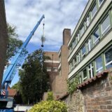 Autokran hebt Baum über Gebäude