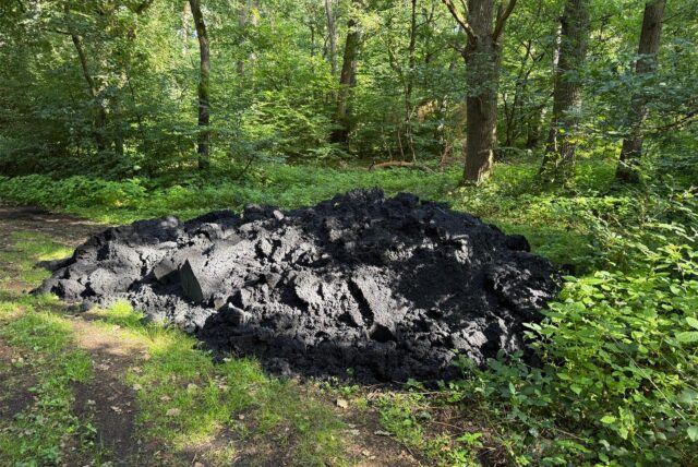 Unbekannte haben eine Lkw-Ladung Asphalt in ein Dorstener Waldstück gekippt.