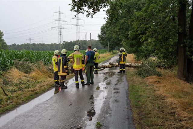 Feuerwehr auf einer Straße, auf der ein umgestürzter Baum liegt