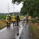 Feuerwehr auf einer Straße, auf der ein umgestürzter Baum liegt