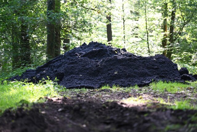 Rund 20 Kubikmeter Asphalt wurden am Wochenende illegal in einem Dorstener Waldstück entsorgt.