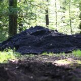 Rund 20 Kubikmeter Asphalt wurden am Wochenende illegal in einem Dorstener Waldstück entsorgt.
